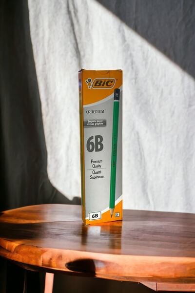 Bic 12 PIECES OF BIC 6B GRADE PAINTING PEN