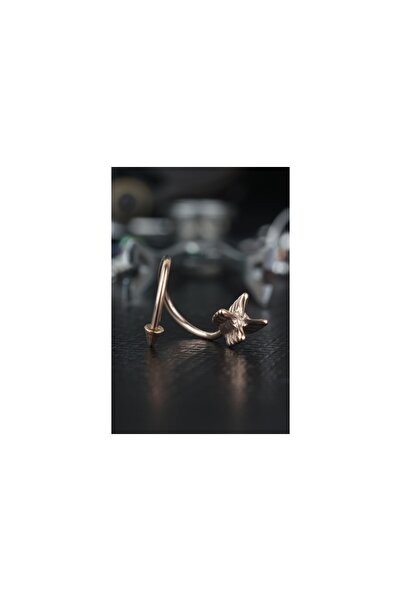 depozoom 316l Cerrahi Çelik Kıkırdak Rook Orbital Helix Spike Ok Piercing