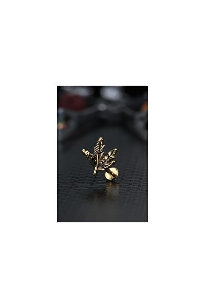depozoom Cerrahi Çelik Kıkırdak Tragus Helix Labret Çınar Yaprağı Piercing Gold