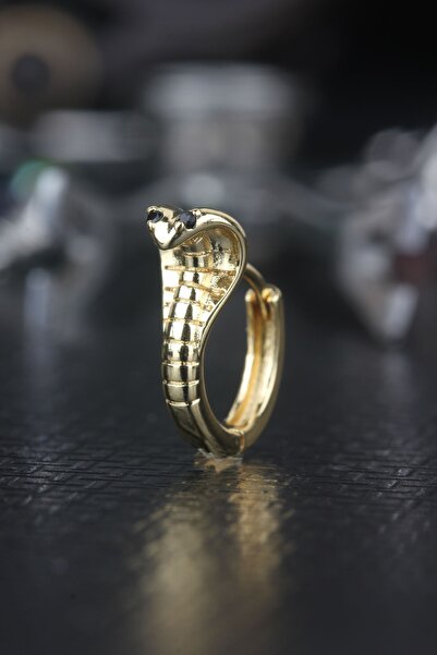 depozoom Zamak Kıkırdak Orbital Rook Yılan Küpe