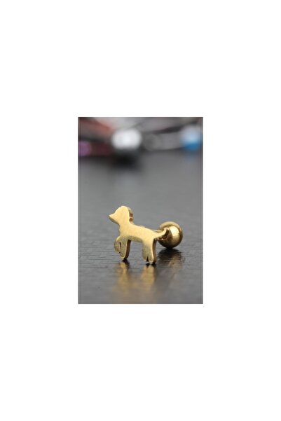 depozoom 316l Cerrahi Çelik Tragus Kıkırdak Helix Köpek Piercing