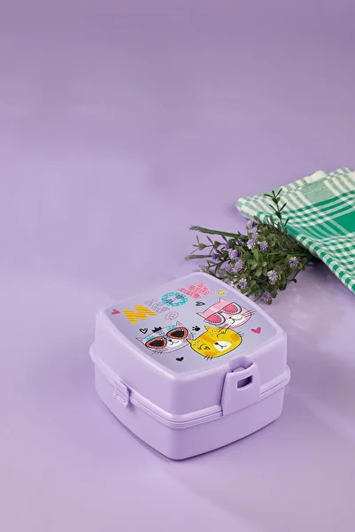 ALİNA HOME 4-Compartment 2-Layer Lunch Box with Spoon and Cat
