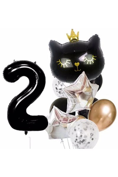Parti Station Black Cat Black Cat 2 Year Old Balloon Set Star Balloon Foil Set Black Cat Concept Birthday Set
