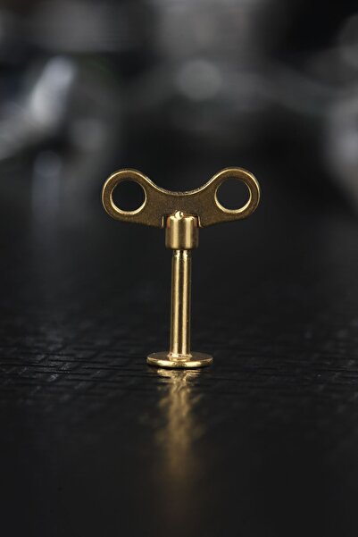 depozoom Cerrahi Çelik Kıkırdak Tragus Helix Labret Windup Key Piercing Gold