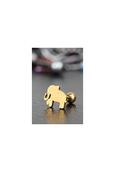 depozoom 316l Cerrahi Çelik Tragus Kıkırdak Helix Mamut Piercing