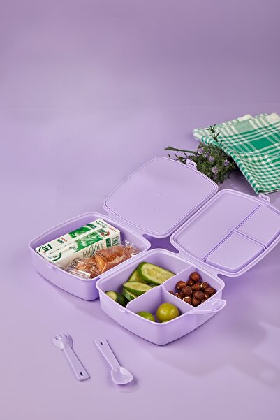 ALİNA HOME 4-Compartment 2-Layer Lunch Box with Spoon and Cat
