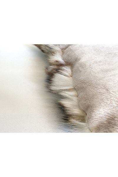 Dericibey Natural Tuscany Cream Throw Pillow
