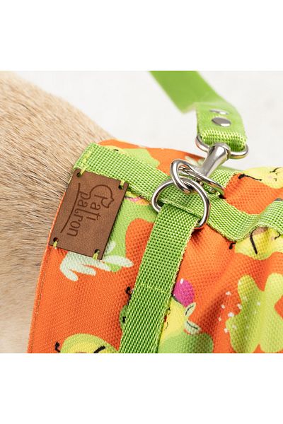 Patipatron Anti-Escape Adjustable Small Breed Dog Chest Collar Set and Walking Rope