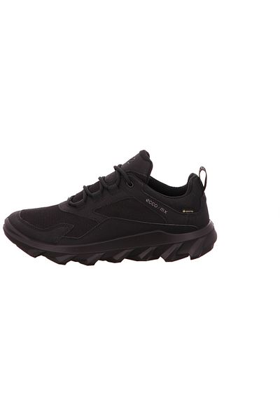 Ecco Schwarz