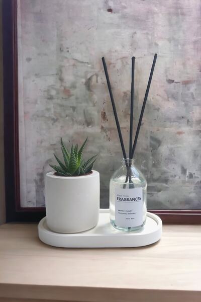 ALLEZA HOME Dekoratif Beton Sukulent Saksısı Fresh Soft Oda Kokusu Set Standlı