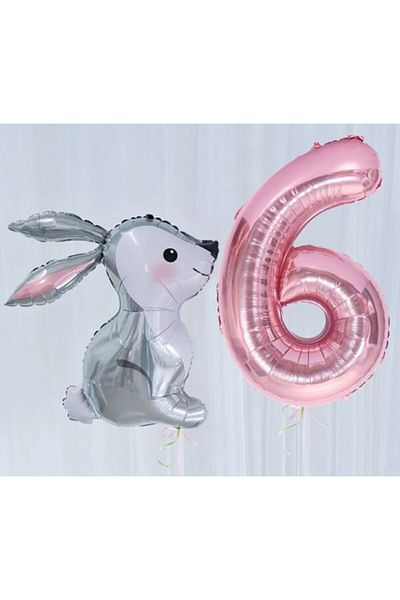 Parti Station Rabbit Pink 6 Year Old Balloon Set Rabbit Concept Birthday Set Age Balloon Set