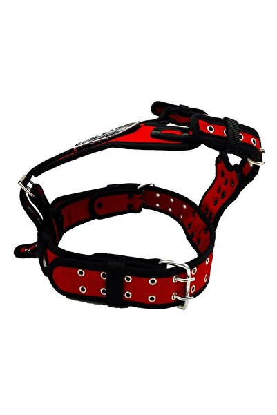 Tasma Market Red American Bully Dog Breast Collar Breast Collar
