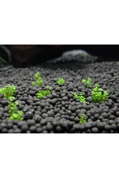 Badem Akvaryum İthal Akvaryum Bitki Kumu Gübre Katkılı Yuvarlak Kum Siyah 8 kg