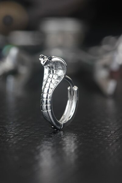 depozoom Zamak Kıkırdak Orbital Rook Yılan Küpe