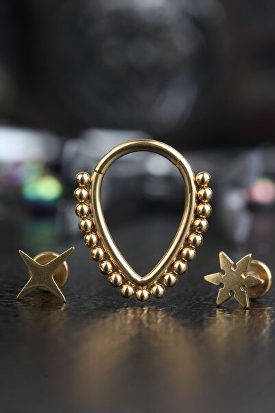 depozoom 316l Cerrahi Çelik Kıkırdak Rook Orbital Helix Set Piercing