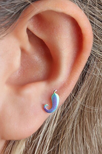 depozoom Cerrahi Çelik Kıkırdak Tragus Helix Orbital Uyumlu Piercing