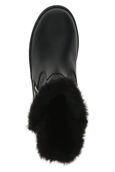 Caprice Εξομάλυνση