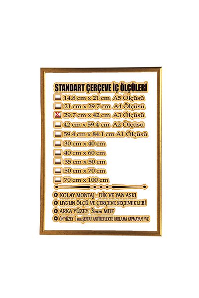 mixefor A3 Frame Color Gold - Back Surface 3mm MDF Front Surface Shatterproof Non-Glare Antireflective
