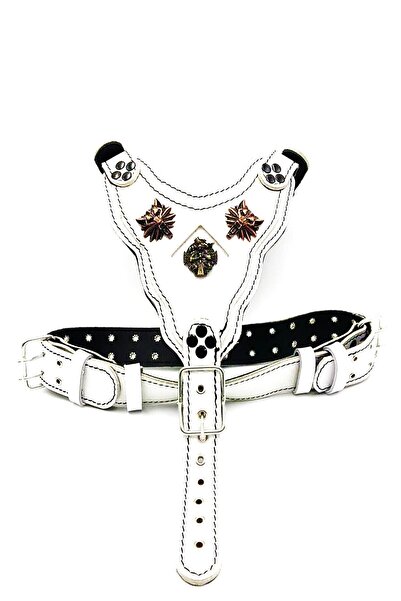 Tasma Market Beyaz Kurt Başlı Deri Köpek Göğüs Tasması Köpek Göğüslük