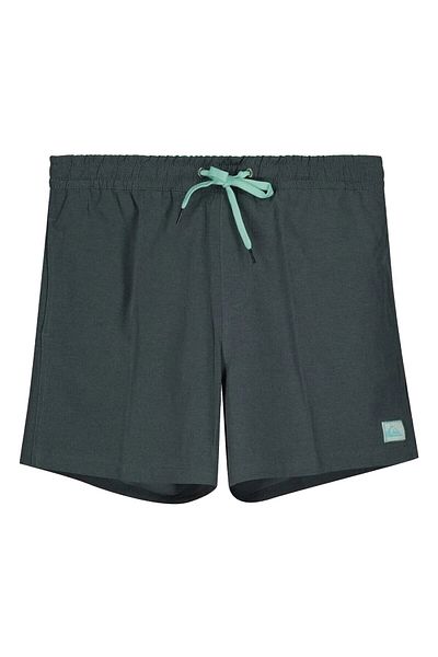 Quiksilver Ανδρικό σορτς Eqyjv03993 Surfsilk 16 M Jamv Grey