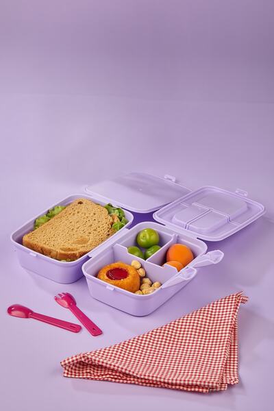 ALİNA HOME صندوق غداء للقطط مكون من 4 أقسام وطبقتين - ملعقة ذاتية