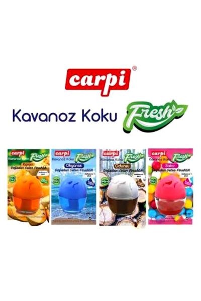 CARPİ Oto Ve Oda Kokusu Yoğun Esanslı Natural 100ml Kavanoz Odunsu 1 Adet