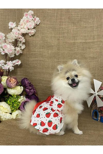 MARİA PET FASHİON Dog & Cat Clothes