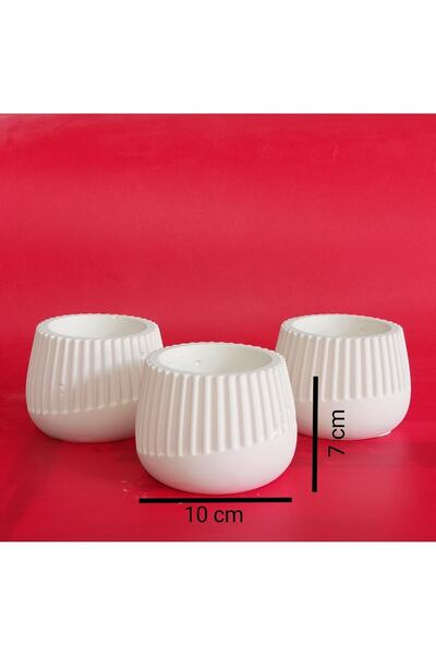 elvanhobi 3 lü kaktüs skulent saksı 10x7 cm