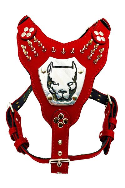 Tasma Market Red Pitbull Headed Gladiator Leather Dog Chest Collar