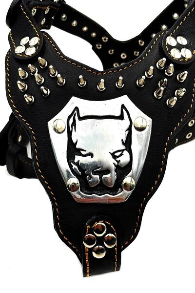 Tasma Market Siyah Pitbull Kafalı Gladyatör Deri Köpek Göğüs Tasması