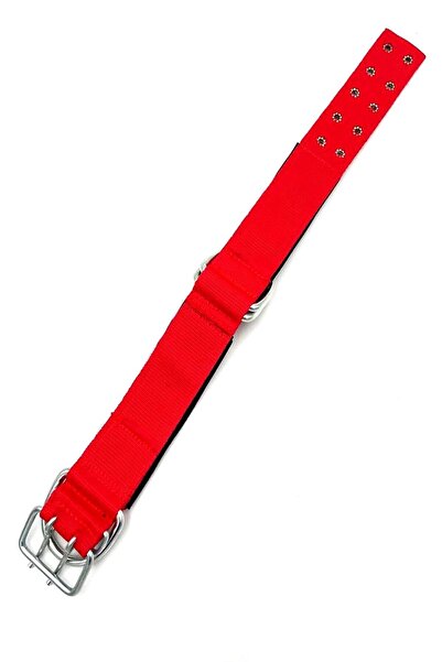 Tasma Market Red K9 Column Dog Collar Dog Collar