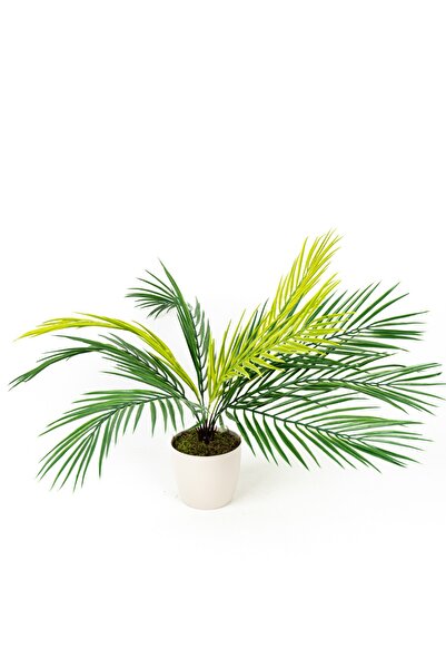 YAPAY ÇİÇEKÇİNİZ شجرة نخيل أريكا صناعية بتفاصيل العشب وأوراق كبيرة في أصيص أب...