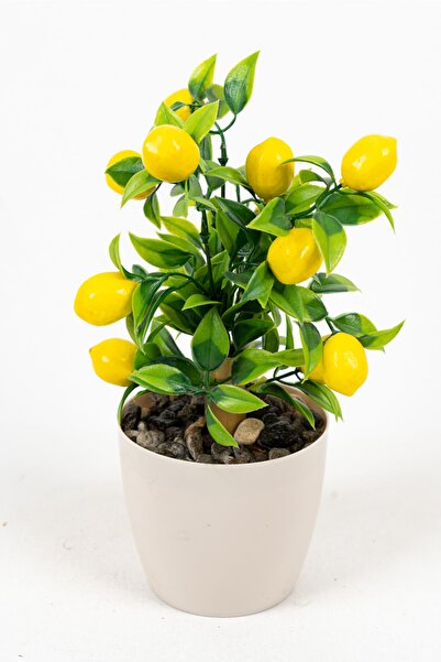 YAPAY ÇİÇEKÇİNİZ Beyaz Plastik Saksıda Bambu Gövdeli Yapay Limon Ağacı 25 Cm
