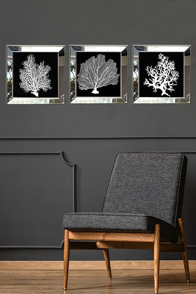 Linacci Σετ αφίσας με πλαίσιο καθρέφτη Triple Silver Coral Black Seacoral Nature Glass