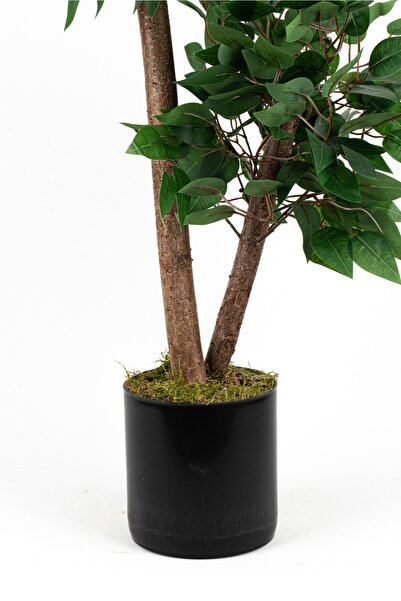 YAPAY ÇİÇEKÇİNİZ YOĞUN YAPRAKLI 2 GÖVDE YAPAY BENJAMİN AĞACI 110 CM