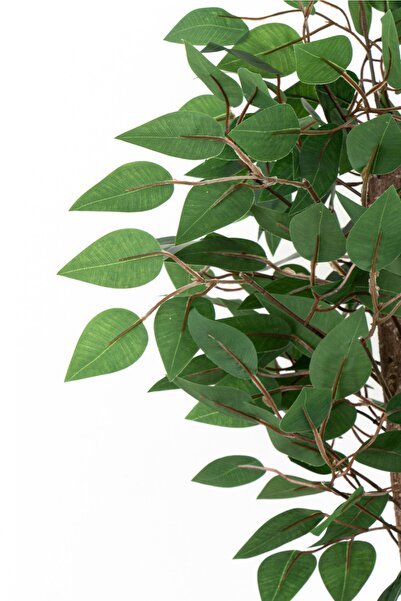 YAPAY ÇİÇEKÇİNİZ YOĞUN YAPRAKLI 2 GÖVDE YAPAY BENJAMİN AĞACI 110 CM