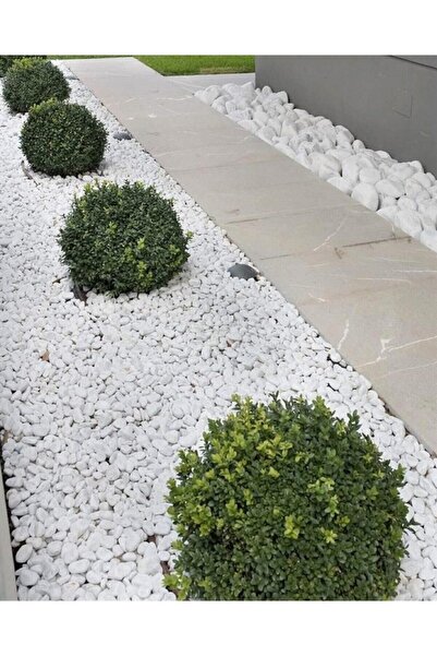 Ekodoğa Beyaz Dolomit Taş 15 Kg 2-4 Cm Dolomit Taş Saksı Dibi Dekoratif Taş B...