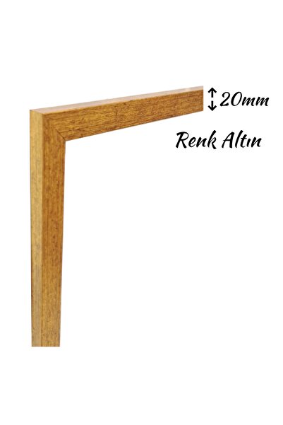 mixefor 50cm X70cm Ölçü Boş Çerçeve -poster Fotoğraf Resim Çerçevesi Renk Altın Ön Yüzey Antireflektif