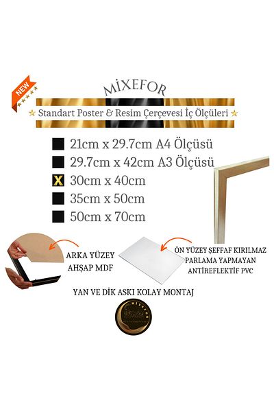 mixefor 30cmX 40cm SIZE BLANK FRAME - POSTER PHOTO PICTURE FRAME COLOR SILVER FRONT SURFACE ANTI-REFLECTIVE