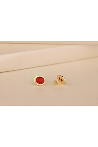 Akgül Silver Doğal Kırmızı Mercan Altın Kaplama Gümüş Küpe