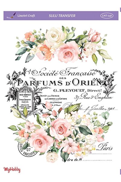 LİNEART Lineart Sulu Transfer LNT149 25x35cm