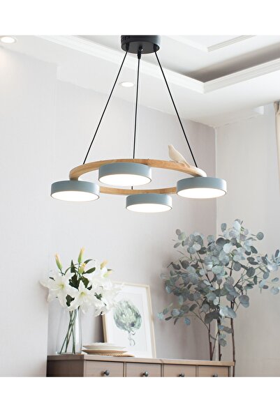 SimaAvize Phival Simple Avize