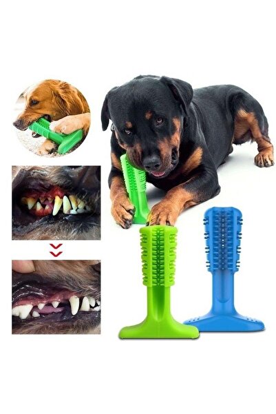 petshopbero Köpek Diş Fırçası Diş Kaşıma Oyuncağı Kaşıyıcı Oyuncak Hediyeli Ürün