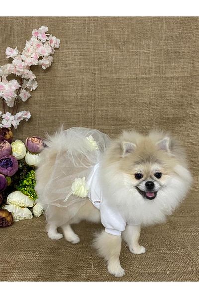 MARİA PET FASHİON Dog & Cat Clothes