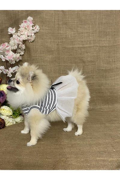 MARİA PET FASHİON Dog & Cat Clothes