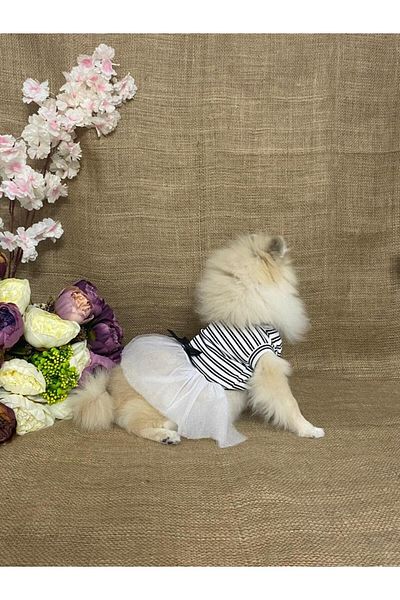 MARİA PET FASHİON Dog & Cat Clothes