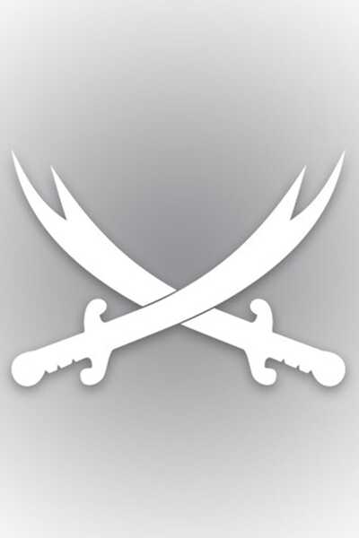 TSC ملصق سيارة Zulfikar Sword مقاس 28 سم × 20 سم