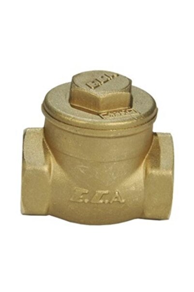 Eca 1/2 Chalpara Check Valve