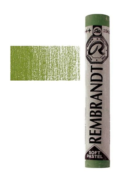 Rembrandt Soft Pastel Paint Olive Green 620.5