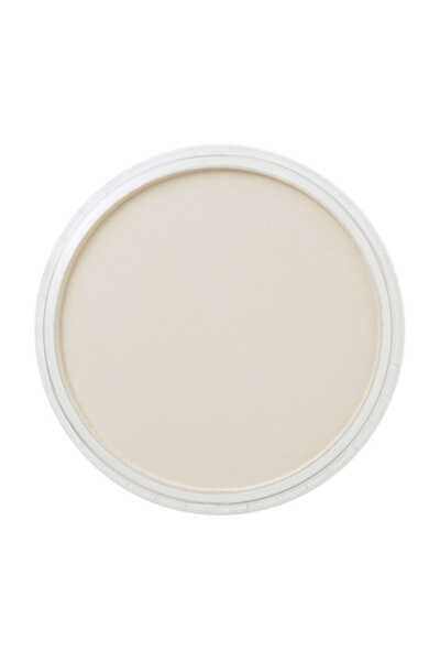 Panpastel No:780.8 Raw Umber Tint